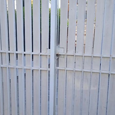 Casetta Con Giardino Βίλα Santa Marinella Εξωτερικό φωτογραφία